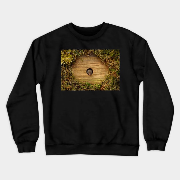 mouse in a hole . Crewneck Sweatshirt by Simon-dell